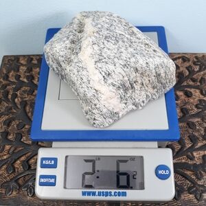 Maine Banded Granite Stone East Coast Beach Rock Raw Mineral Specimen Gray White